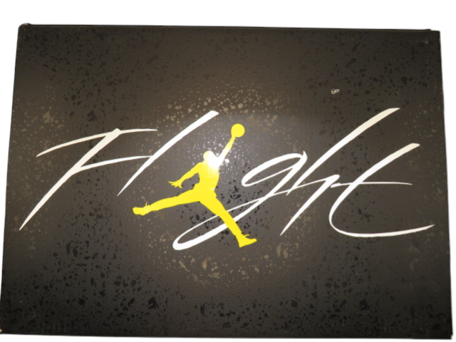 Air Jordan 4 Retro 'Thunder' 2023