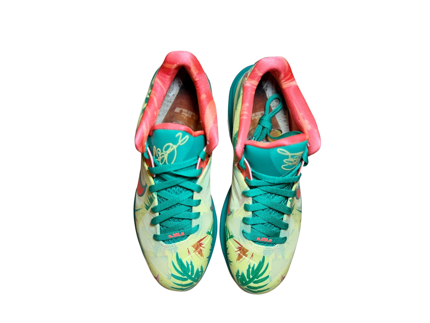 Nike LeBron 9 Low (2022)